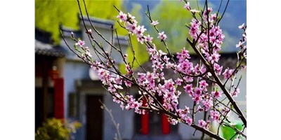 陽春三月，臺群精機一大波展會即將來襲，您準備好了嗎？